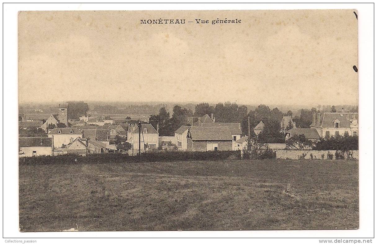 Cp , 89 , MONETEAU , Vue Générale , écrite - Moneteau