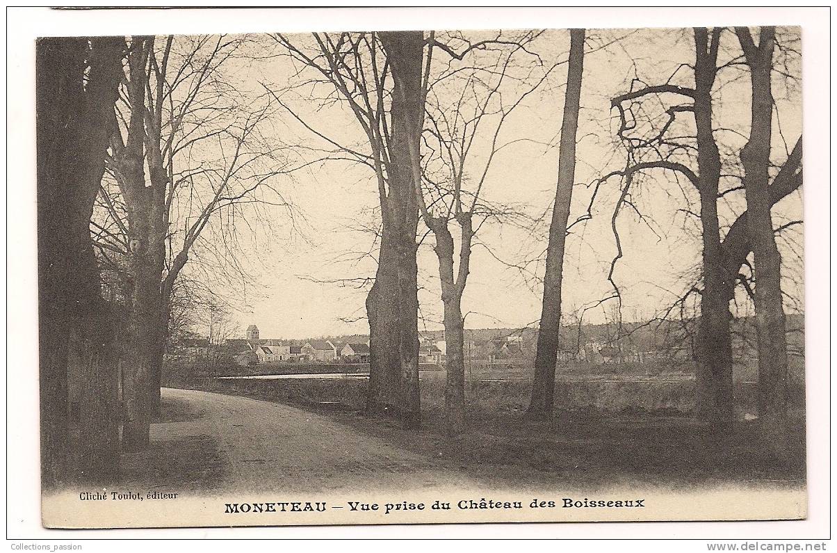 Cp , 89 , MONETEAU , Vue Prise Du Château Des BOISSEAUX , Vierge - Moneteau