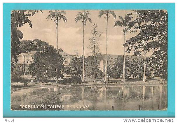 ANTILLE BARBADOS CODRINGTON COLLEGE CARTOLINA FORMATO PICCOLO VIAGGIATA NEL 1926 - Barbades
