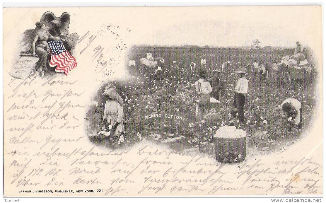 Private Mailing Card USA Flag Cotton Picking Animated 19.3.1901 Posted NEW YORK - Presidenti