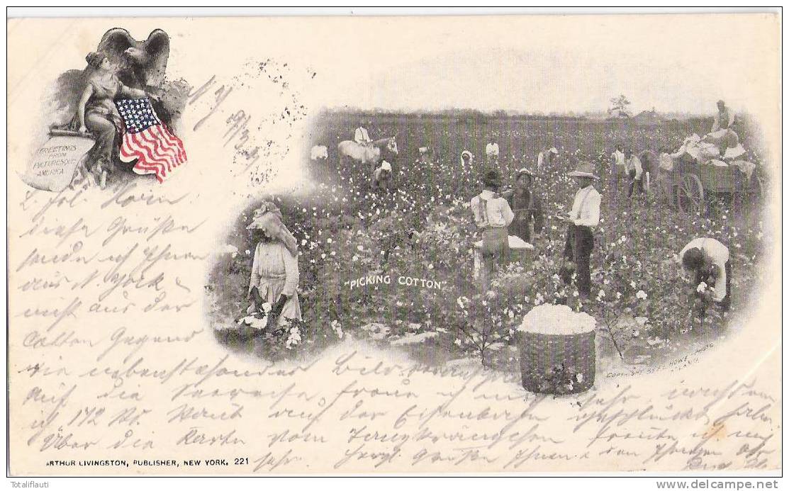 Private Mailing Card USA Flag Cotton Picking Animated 19.3.1901 Posted NEW YORK - Presidenten