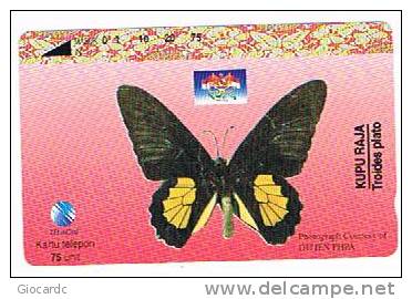 INDONESIA - TELKOM (TAMURA) -  FARFALLE: BUTTERFLY (TROIDES PLATO)         - USED  -  RIF. 1671 - Farfalle