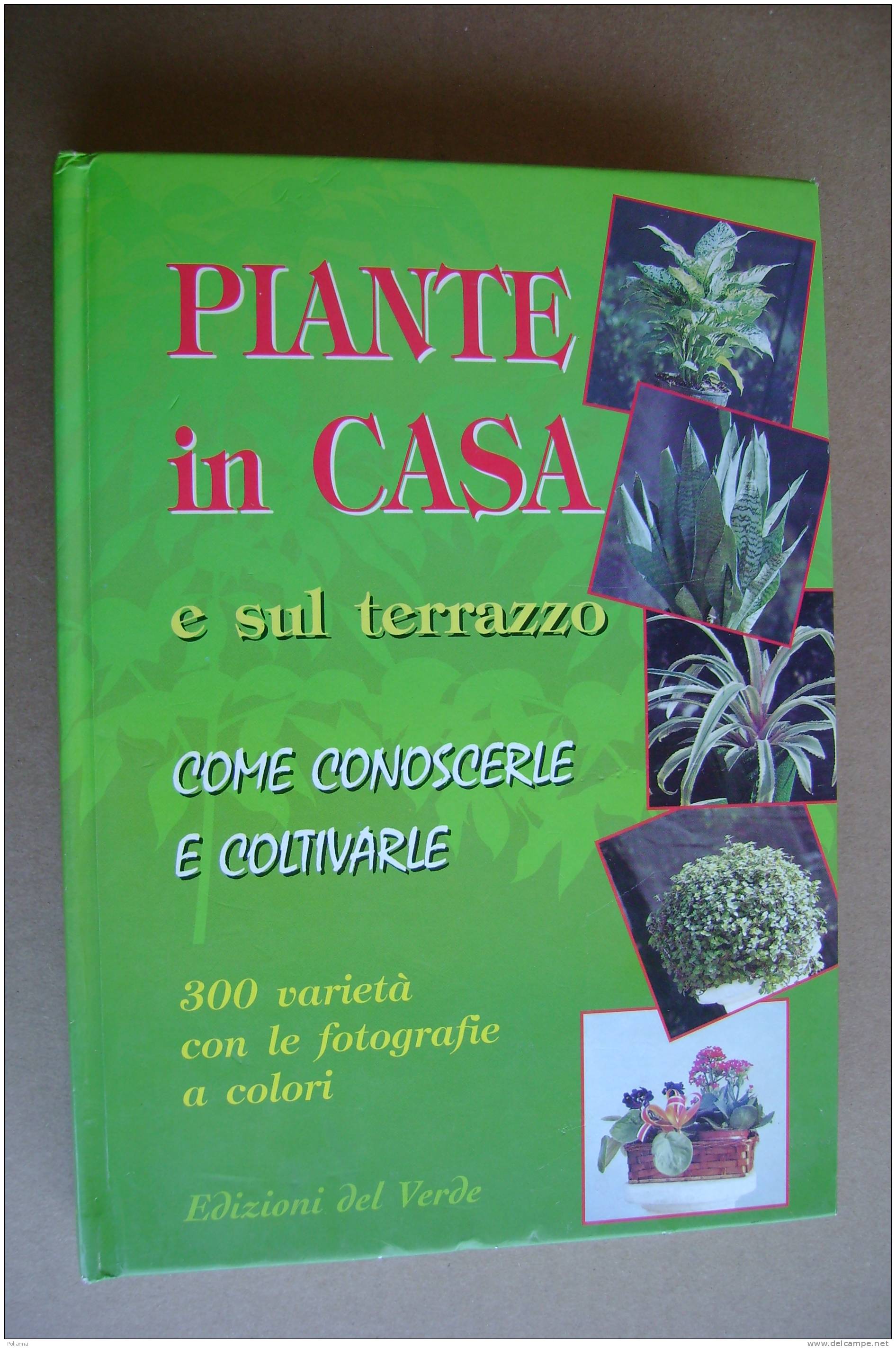 PAQ/44 P.Gelio PIANTE IN CASA E Sul Terrazzo Demetra 1997/Disegni Mario Stoppele - Gardening