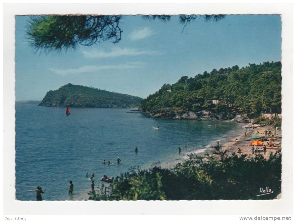 * CPSM Le Canadel, La Plage, Au Fond à Gauche Le Cap Nègre, Var 83 * - Rayol-Canadel-sur-Mer