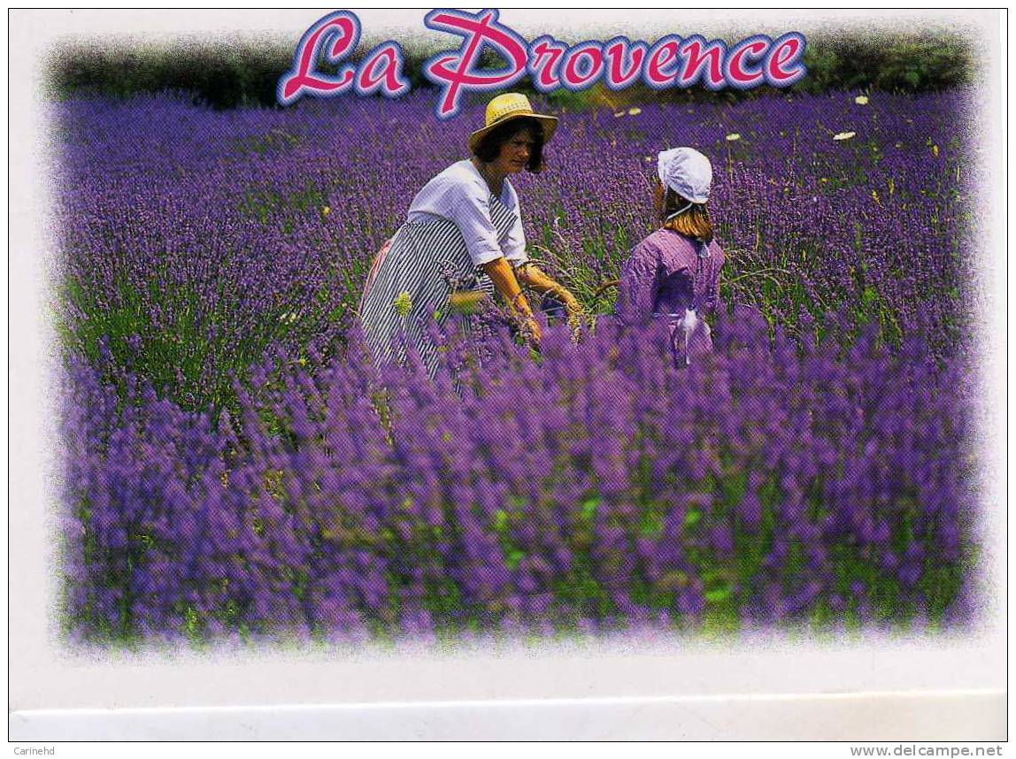 LA PROVENCE - Andere & Zonder Classificatie