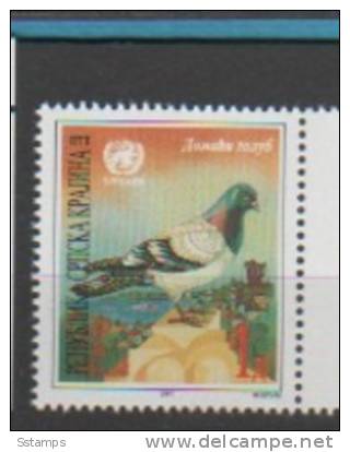 396  CROAZIA KROATIEN KRAJINA REPUBLIKA SRPSKA KNIN VUKOVAR COLOMBA NEVER HINGED - Pigeons & Columbiformes