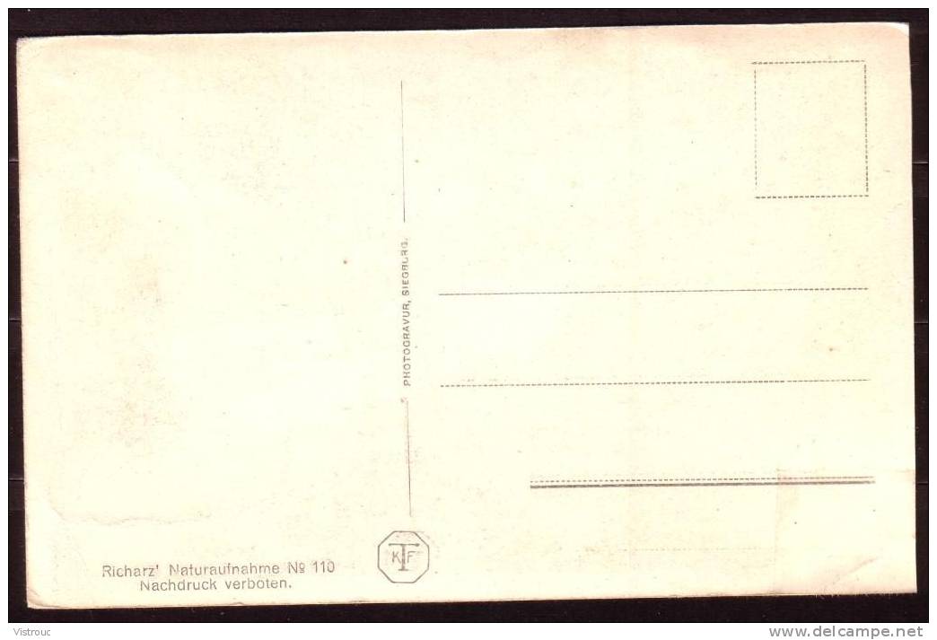 St GOAR - LORELEYFELSEN - Nicht Gelaufen - Non Circulé - Not Circulated. - St. Goar