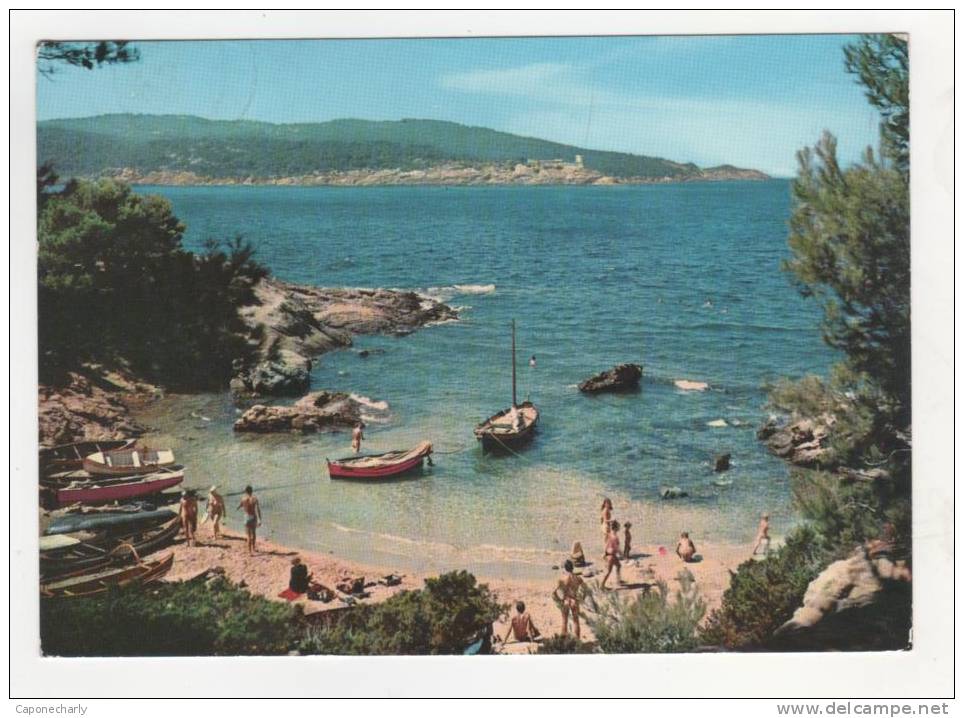 * CPSM Ile Du Levant, La Plage, Au Fond L'île De Port Cros, Var 83 * - Autres & Non Classés