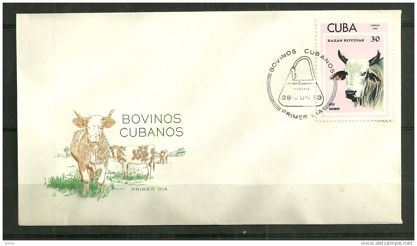 Cuba, Enveloppe Premier Jour N° 1679 à 1685 "Bovins Cubains" - FDC