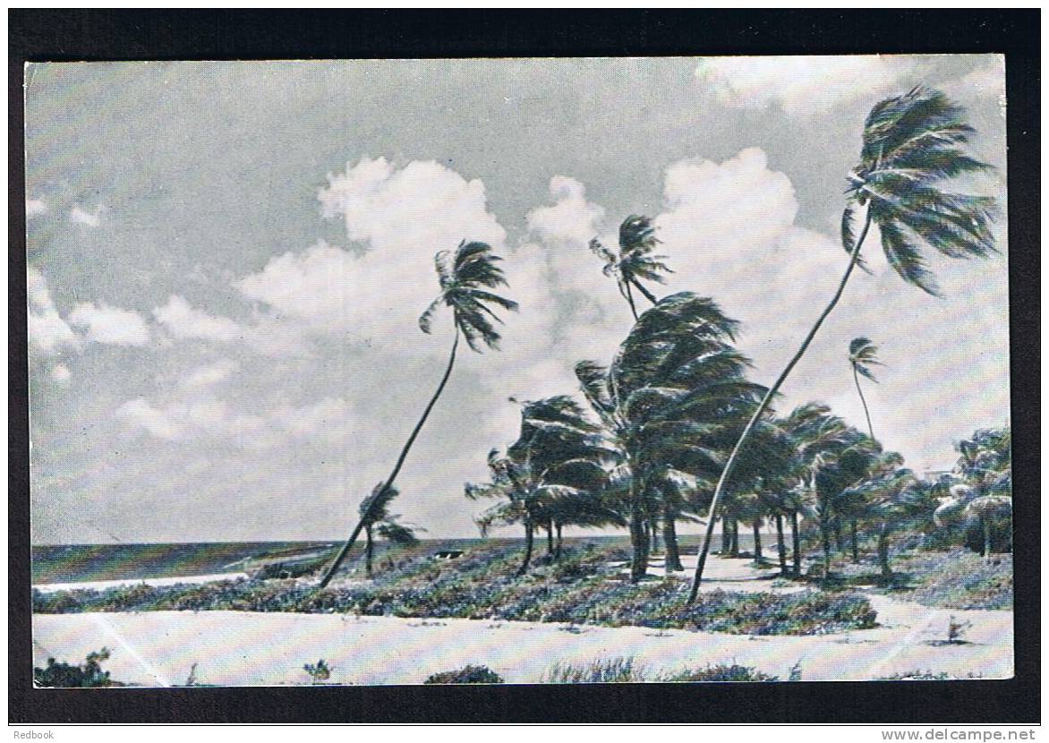 RB 741 - Early Postcard - The Beach - Sam Lord's Castle Barbados - Britsh West Indies - Barbados
