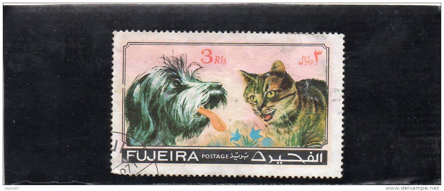 FUJEIRA CHIEN CHAT 3 - Fujeira