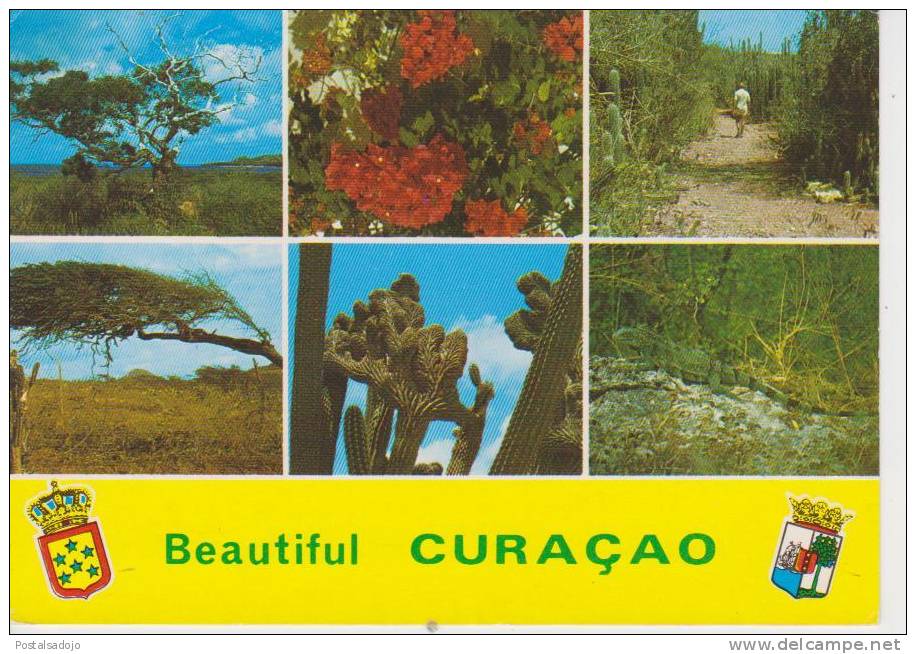 (CUR47) CURAÇAO. BEAUTIFUL - Curaçao