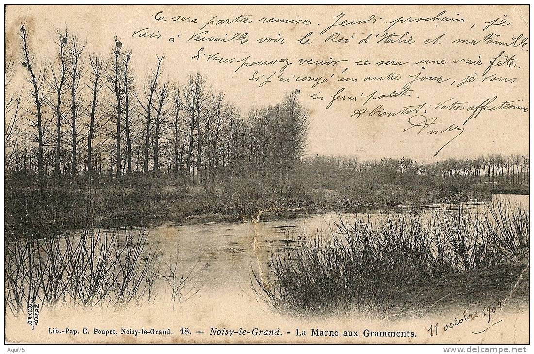 NOISY-le-Grand    La Marne Aux Grammonts  (mauvais état:fente Au Centre) - Noisy Le Grand
