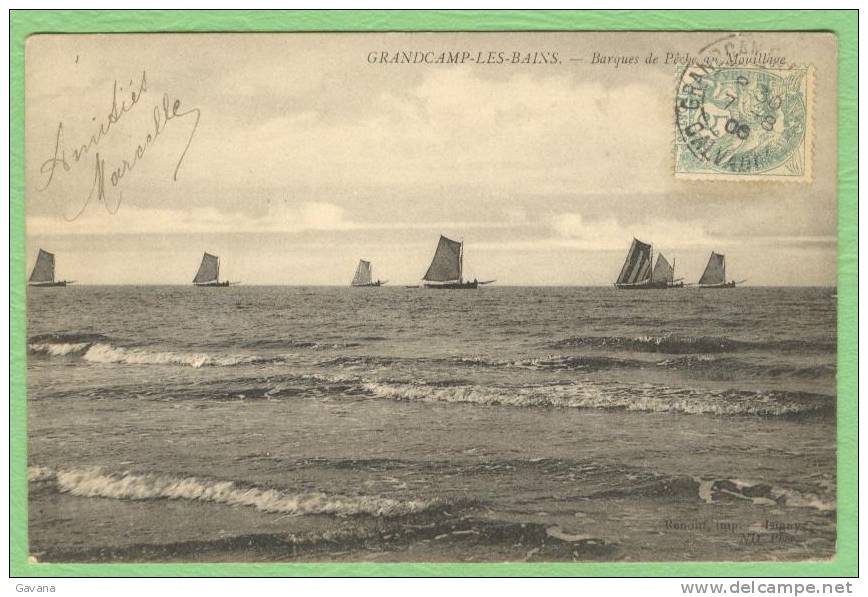 14 GRANDCAMP-les-BAINS - Barques De Peche Au Mouillage - Autres & Non Classés