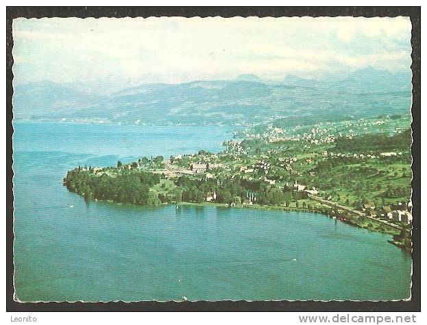 Der Neue Landgasthof Am Zürichsee Halbinsel AU Zwischen Horgen Und Wädenswil 1964 - Horgen