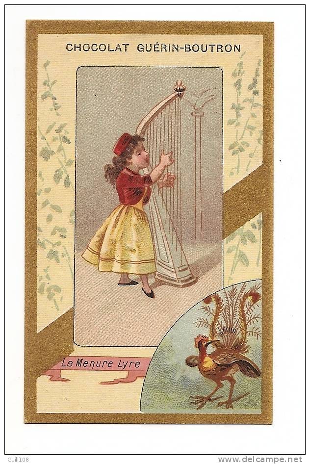 Jolie Chromo Dorée Chocolat Guérin Boutron Imp. Hérold Série Oiseaux Oiseau Menure Lyre Harpe Musique Enfant A3-01 - Guérin-Boutron