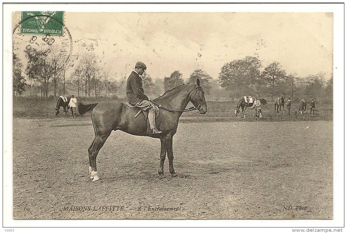 78 : Maisons Laffitte, L´entrainement  .... - Maisons-Laffitte