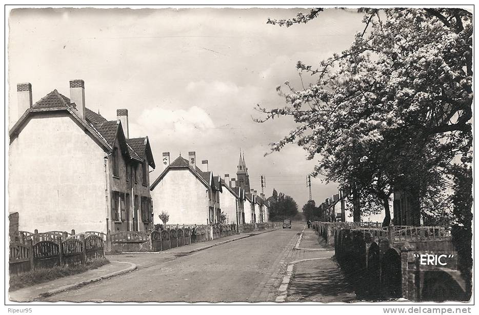 62 LIEVIN - Vue Sur La Cite Saint Pierre - Lievin