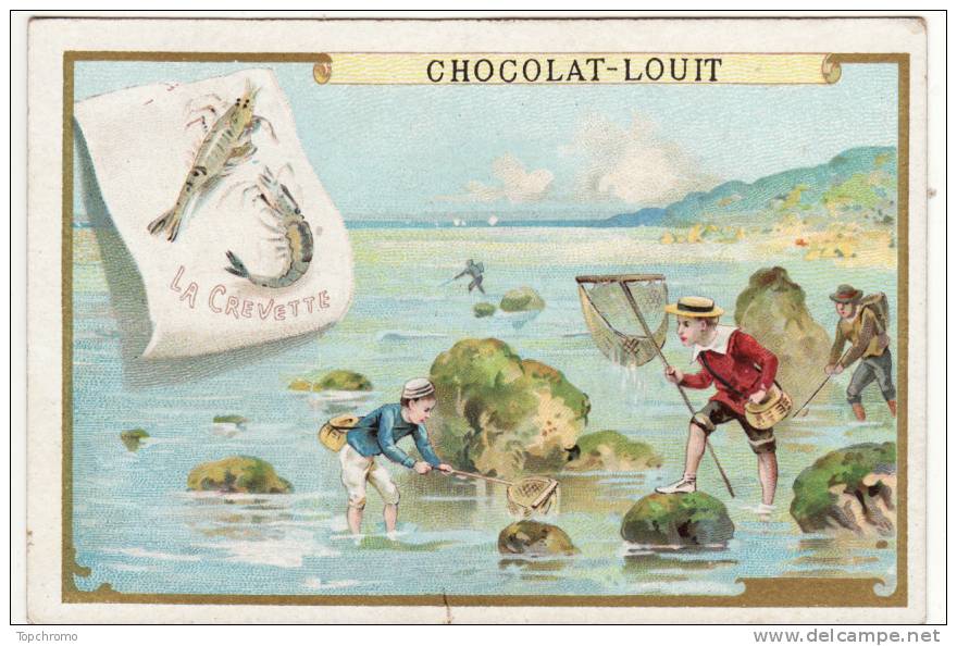 CHROMO Chocolat Louit La Crevette Mer Pêche épuisette - Louit