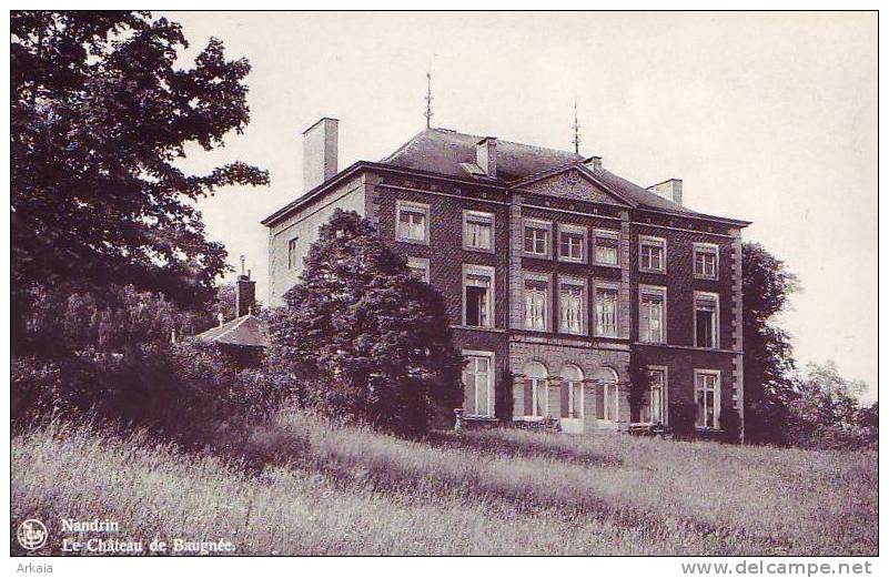 NANDRIN = Le Château De Baugnée  (Nels  Bromurite) Vierge - Nandrin