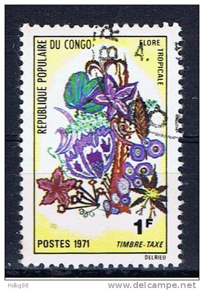RPC+ Kongo Brazzaville 1971 Mi 13 Portomarke - Oblitérés
