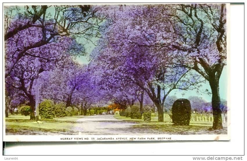(890) Very Old Australia Postcard - Farm Park - Brisbane