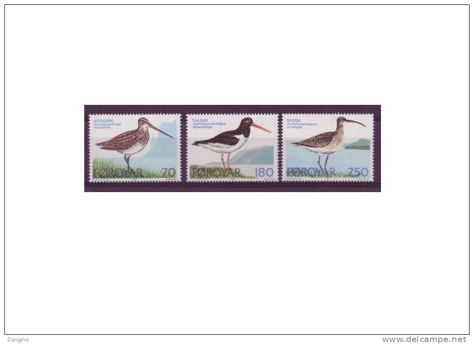 835. Føroyar / Îles Féroé / Faroe Islands / 1977 / Birds / Oiseaux / Aves - Collections, Lots & Series