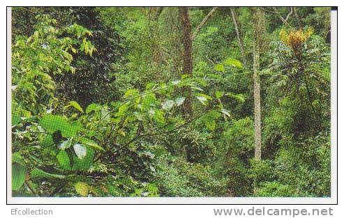 Reboisement 5,forêt Tropicale,vignette Jungle Mania N°199 - Altri & Non Classificati