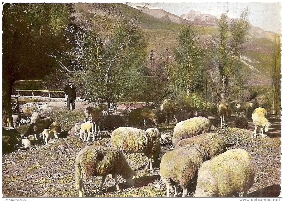 Chant Pastoral Troupeau De Moutons Dans Un Paysage Alpestre Et Le Berger - Other & Unclassified