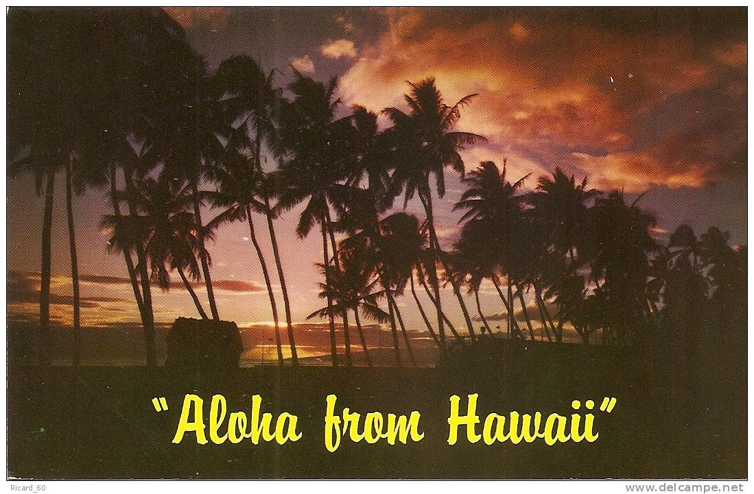 Carte Postale,hawaï, Bonjour, Aloha - Other & Unclassified
