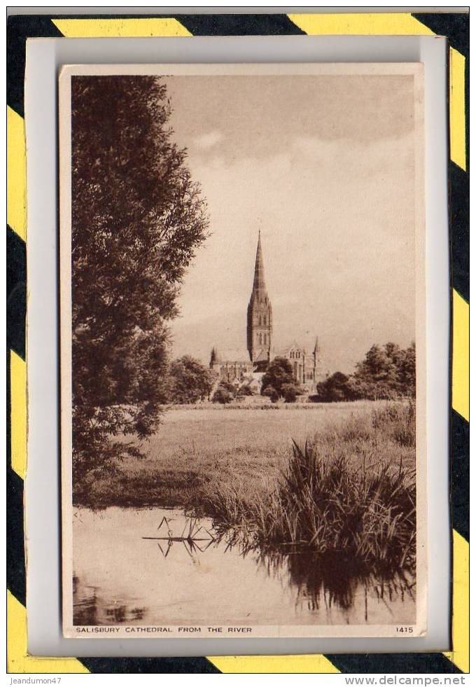 SALISBURY CATHEDRAL. FROM THE RIVER - Salisbury