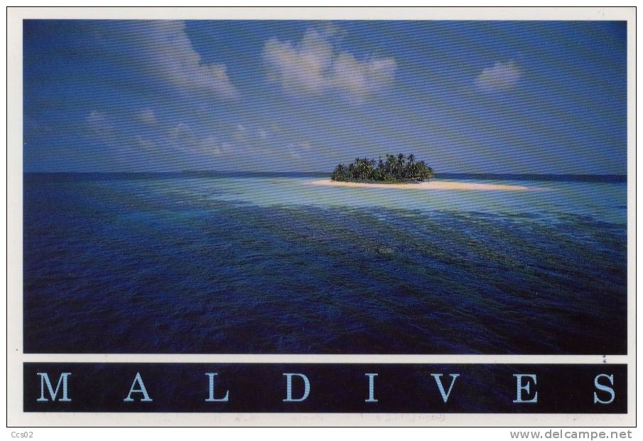 Maldives, Coral Circle - Maldiven
