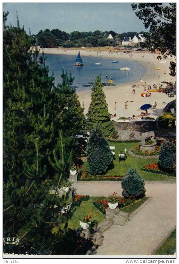 29 CONCARNEAU  Plage Du Cabellou ; Géraniums, Voiliers, Parasol, Pédalo - Animée - Concarneau