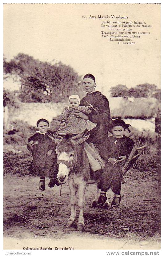 Folklore  ....Aux Marais Vendéens ....Ane Monté   ( Voir Scan  Et / Ou Annotation) - Sonstige & Ohne Zuordnung