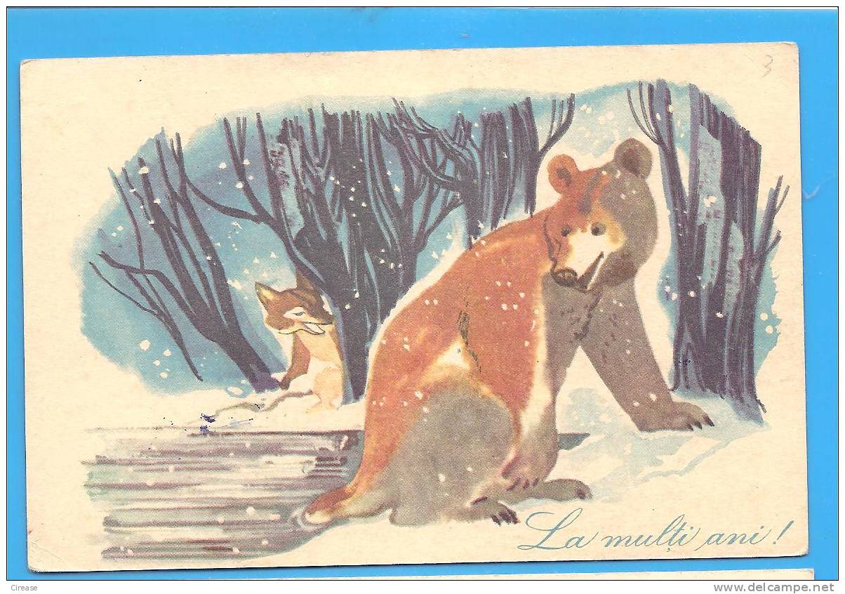 Bear, Ours. ROMANIA Postal Stationery Postcard 1966. - Ours