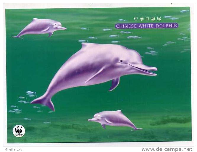 ENTIER POSTAL CHINE  STATIONERY DAUPHIN WWF - Dolphins