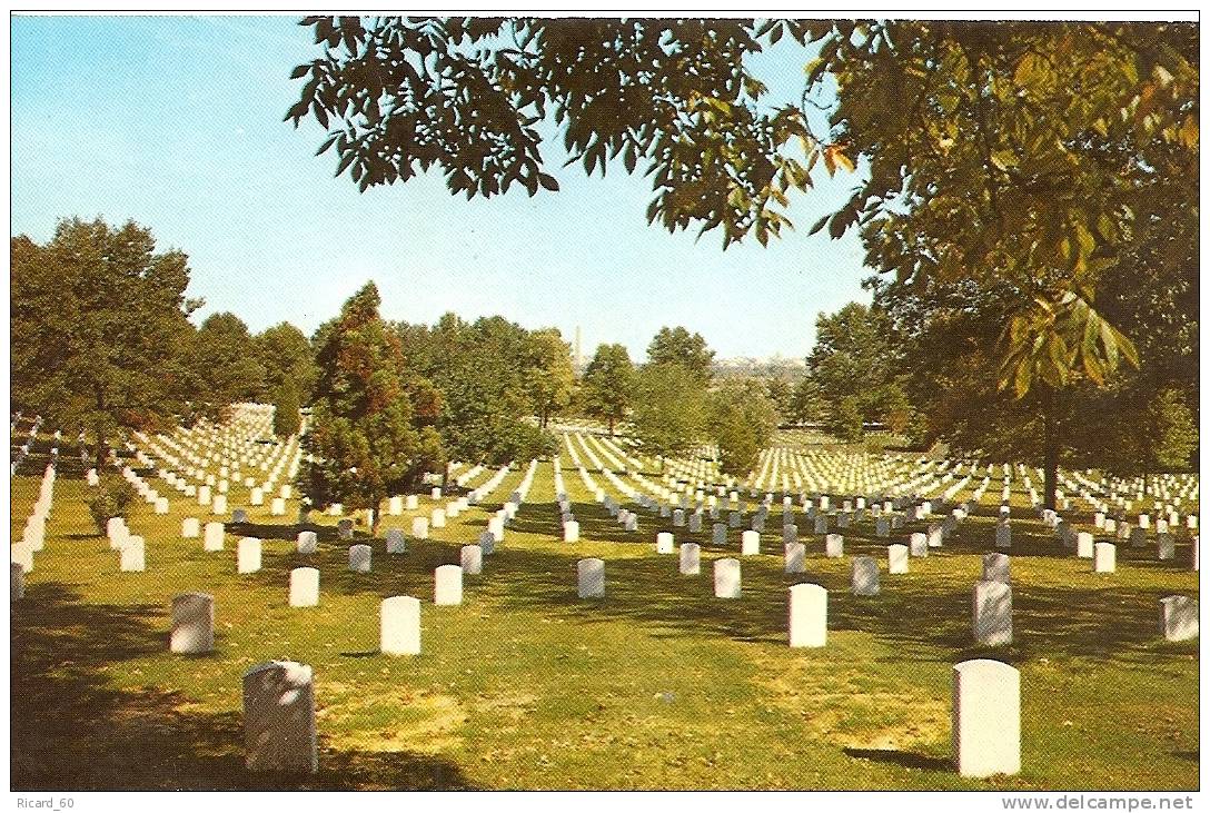Carte Postale, Washington Dc, Arlington National Cemetery, Cimetière D'arlington - Arlington