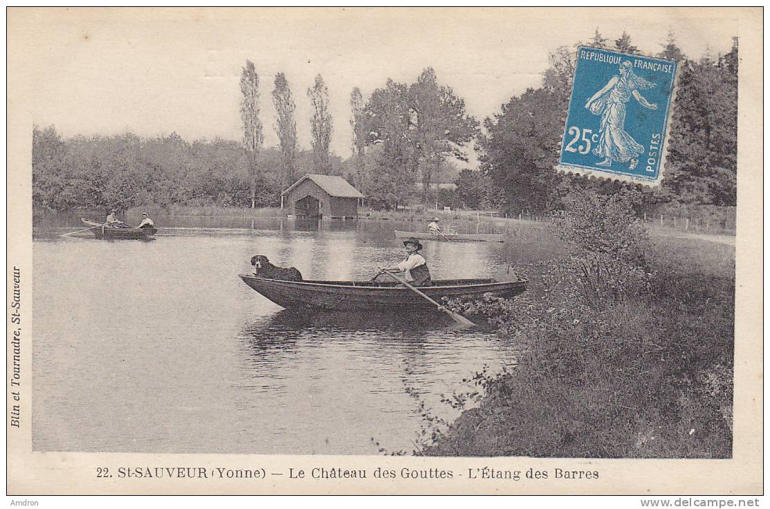 (§) St Sauveur - Le Château Des Gouttes - L'étang Des Barres - Saint Sauveur En Puisaye
