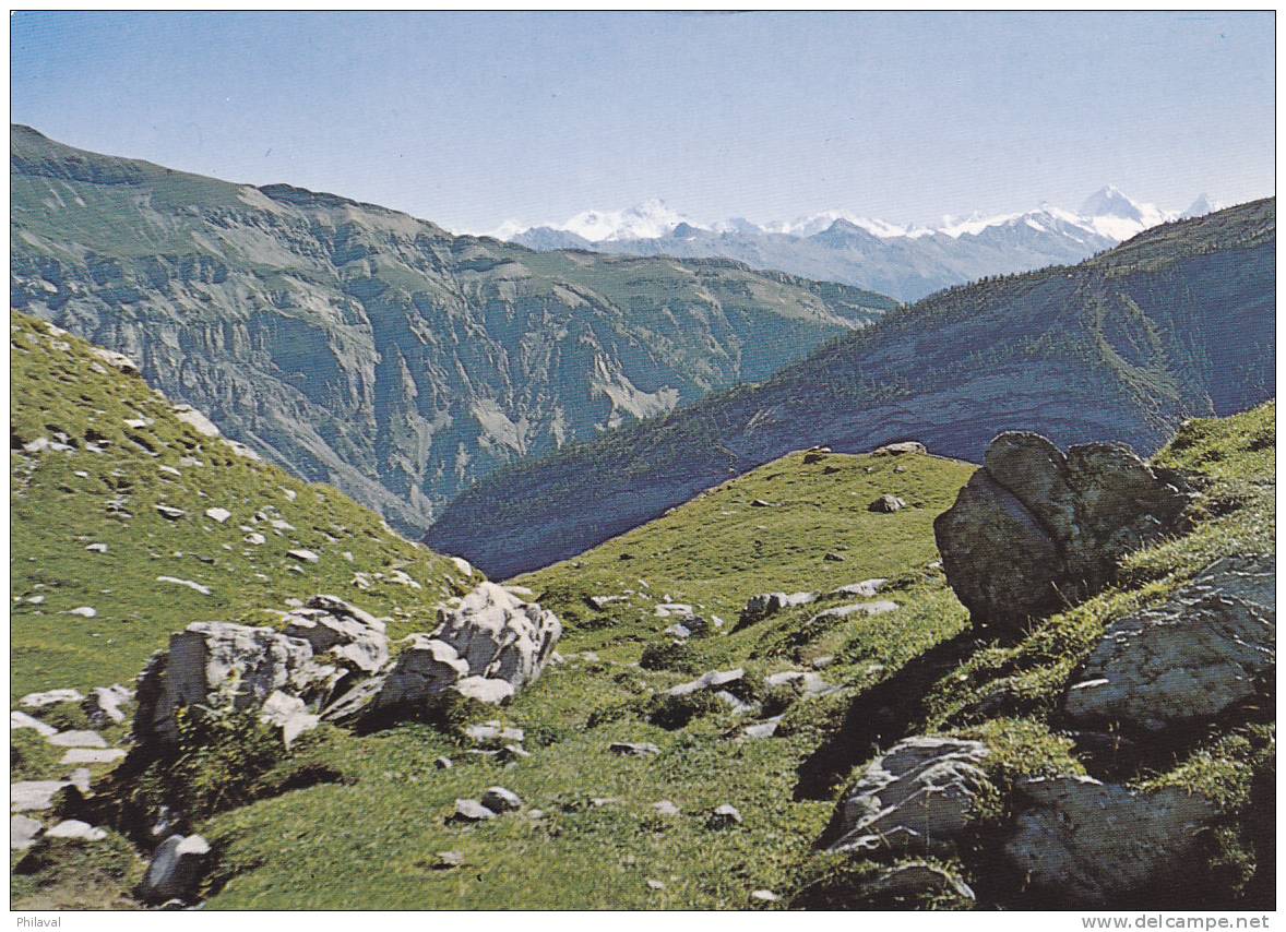 Tournan Le Dos Aux Premiers Ruisselets De L'Avançon D'Anzeindaz - Le Pas De Cheville Et Les Alpes Valaisannes -  10 X 15 - Premier