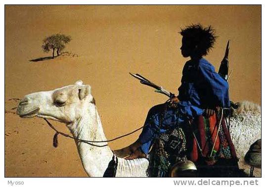 Jean Luc MANAUD Niger Bordure Est De L'air, Jeune Touareg Kel Tedele Nouvelles Images PHC 1614, Collection Desert - Autres & Non Classés