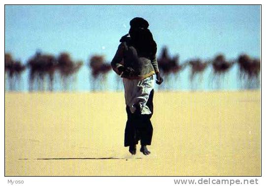 Jean Luc MANAUD Niger Tenere  Touareg D´une Caravane De Sel ,erg De Bilma Nouvelles Images PHC 1616, Collection Desert - Altri & Non Classificati