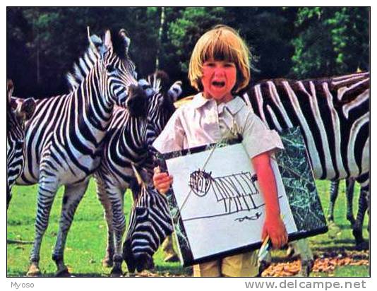 Zebres Decontractes, Concours Dessinez Un Animal Exotique En Liberte, Enfant, Dessin, Centre DeThoiry, Sigean, Peaugres - Zebras