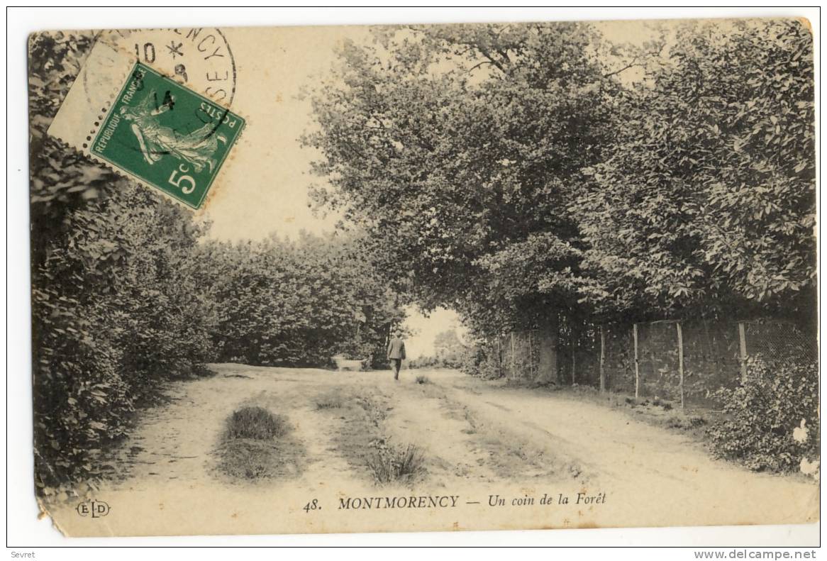 MONTMORENCY - Un Coin De La Forêt - Montmorency