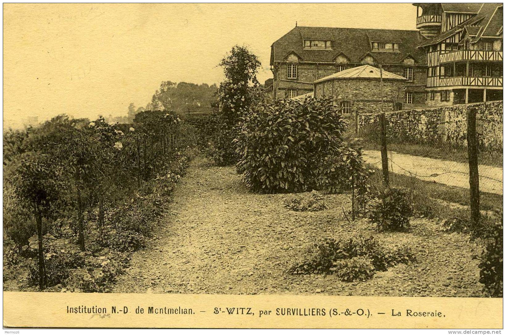 Saint Witz Par Survilliers Institution ND De Montmelian La Roseraie Editions Universitaires Tourte Et Petitin - Saint-Witz