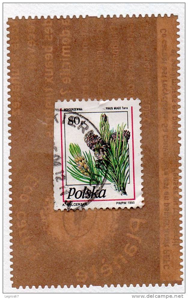 PINUS MUGO 80 1995 - Used Stamps