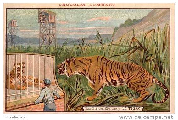 CPA CARTE LITHO CHOCOLAT LOMBARD LES GRANDES CHASSES ** L TIGRE ** LITHO CARD - Publicité