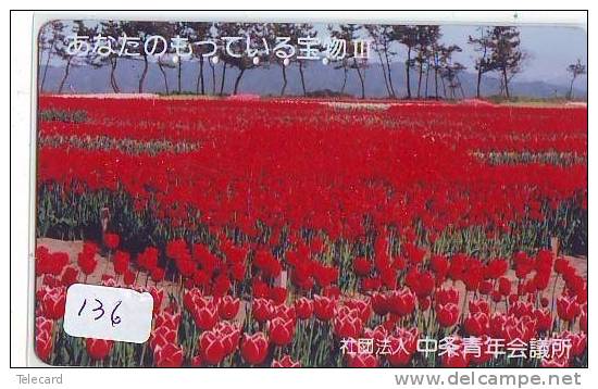 Télécarte Japon FLEUR * TULIPE (136) TULIP * TULP * TULPE * Flower * Phonecard Japan * TELEFONKARTE  BLUMEN - Bloemen
