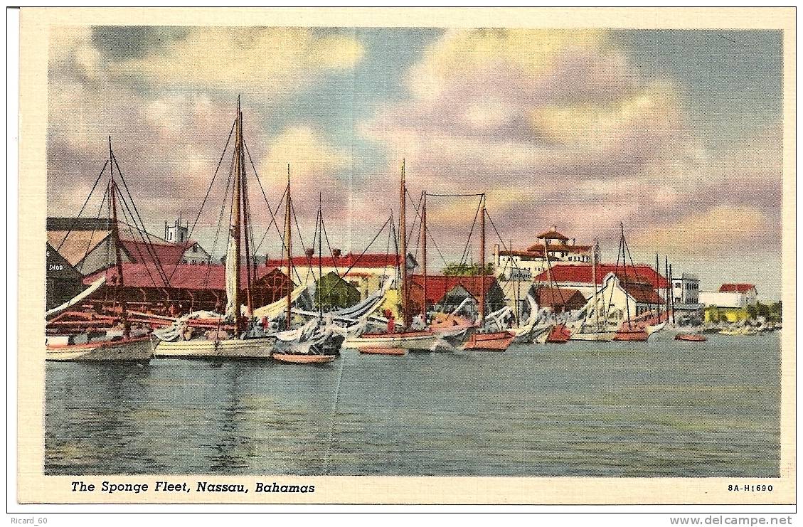 Carte Postale, Bahamas, Nassau, The Sponge Fleet, Le Port, Voiliers - Bahamas