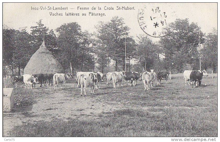 BELGIQUE - IVOZ VAL SAINT LAMBERT - Flémalle