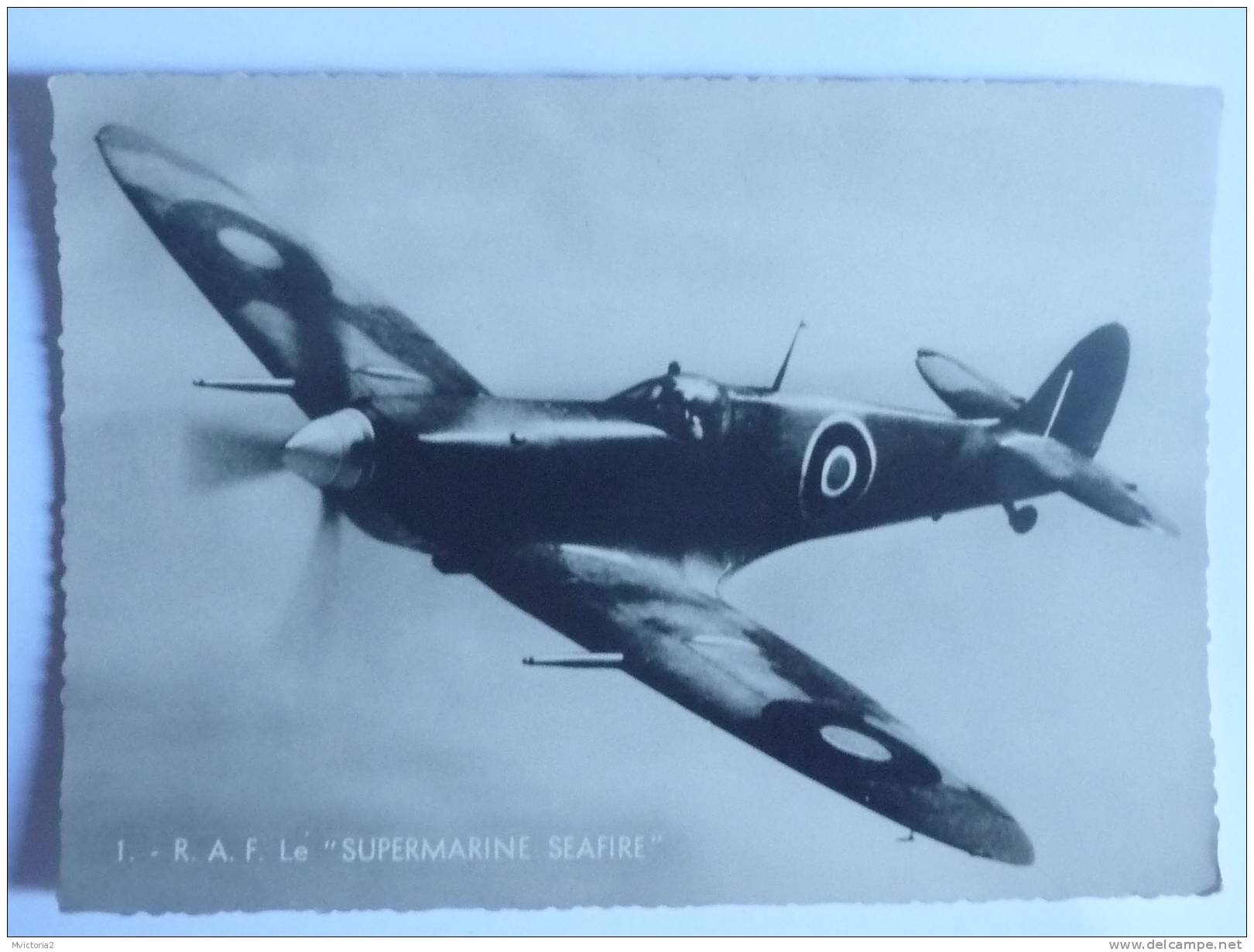 ROYAL AIR FORCE  Le " SUPERMARINE SEAFIRE",Moteur Rolls Royces, 2 Canons, 4 Mitrailleuses. - 1939-1945: 2ème Guerre